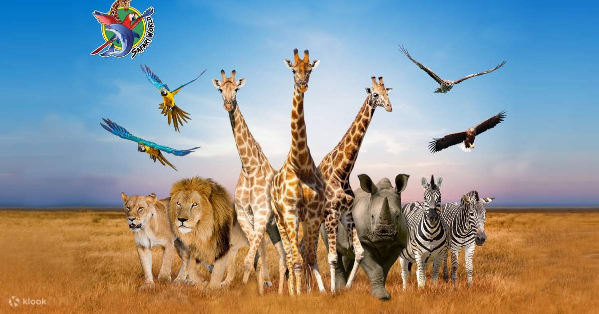 曼谷動物園safari world
