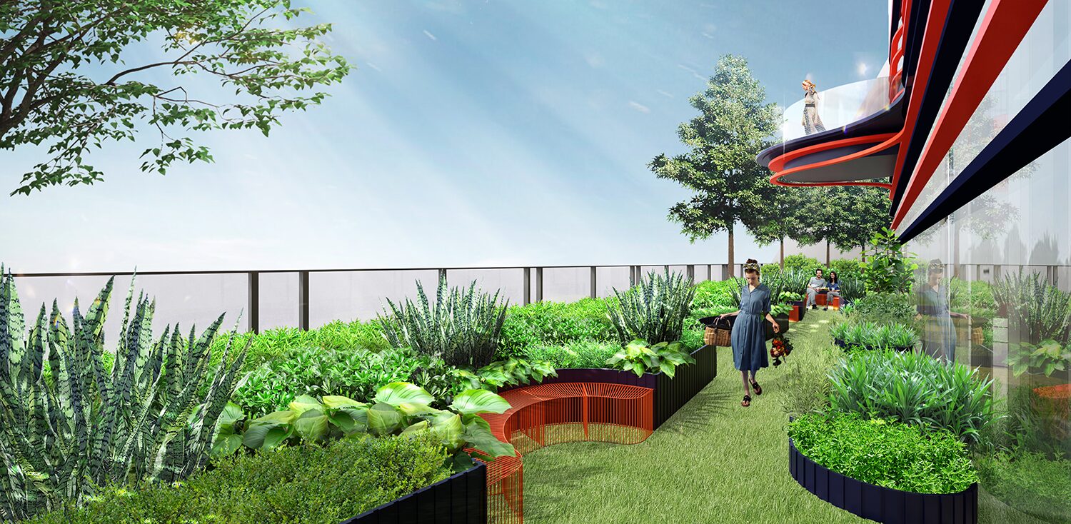 Rooftop garden